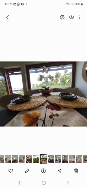 Erou Iancu Nicolae, Zoo